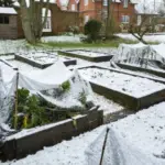 Build a Simple Vermicomposting System for Home Use