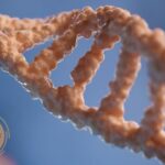 PTSD Therapy Malaysia: Compassionate, Flexible Healing