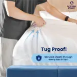 Stussy Home Décor: Elevate Your Space with Subtle Streetwear Charm