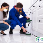 Calgary Cockroach Control: Safe, Effective Pest Relief