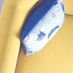 CJ’s Recommended Carpet Care: Expert Tips for Fresh, Healthy Carpets