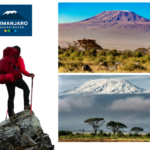 Certified Local Kilimanjaro Climbing Guide: Climb with Confidence