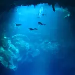 Cenote Scuba Diving in Tulum: A Unique Underwater Adventure
