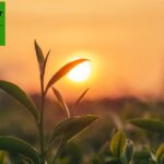 Choose a Reliable Drip Irrigation Applicator Machine for Precise Watering