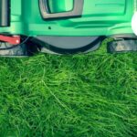 Weeding Services in Bristol | Tidy Gardeners Bristol